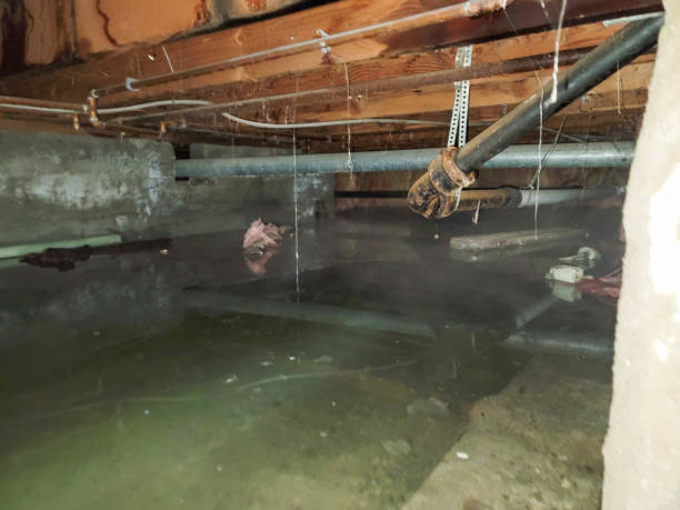 Best Ceiling water damage repair  in Danbury, CT