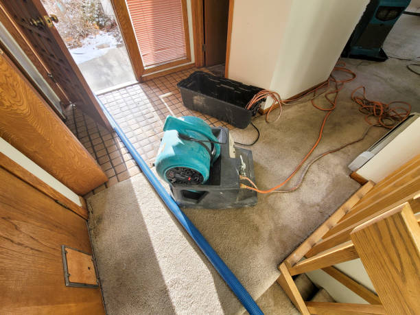 Best Water damage restoration near me  in Danbury, CT