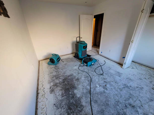 Best Carpet water damage restoration  in Danbury, CT